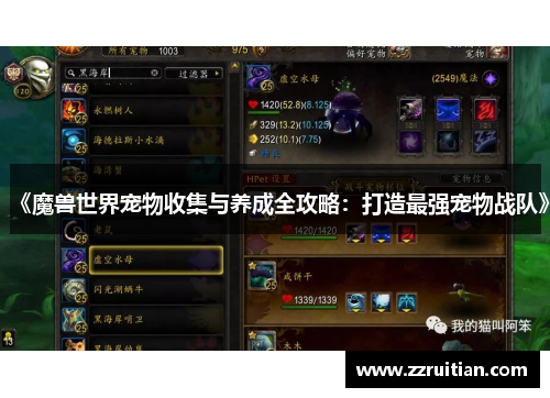 《魔兽世界宠物收集与养成全攻略：打造最强宠物战队》