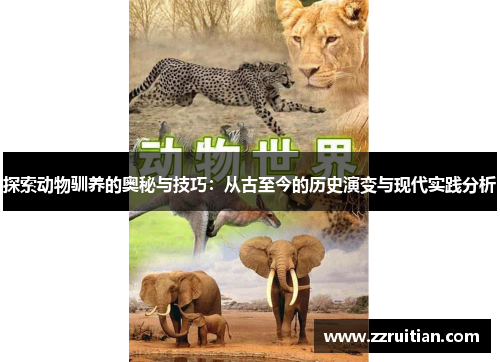 探索动物驯养的奥秘与技巧：从古至今的历史演变与现代实践分析