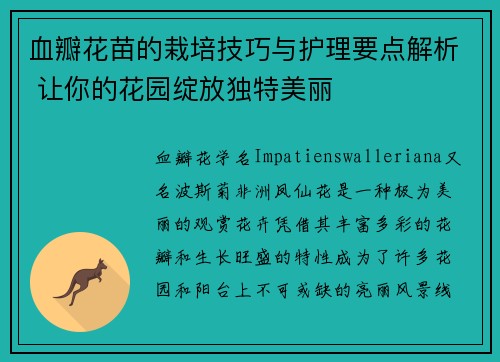 血瓣花苗的栽培技巧与护理要点解析 让你的花园绽放独特美丽